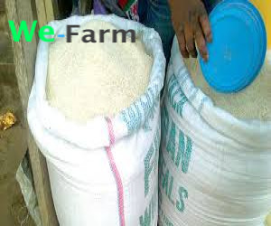GARRI (Bag of 70congos)